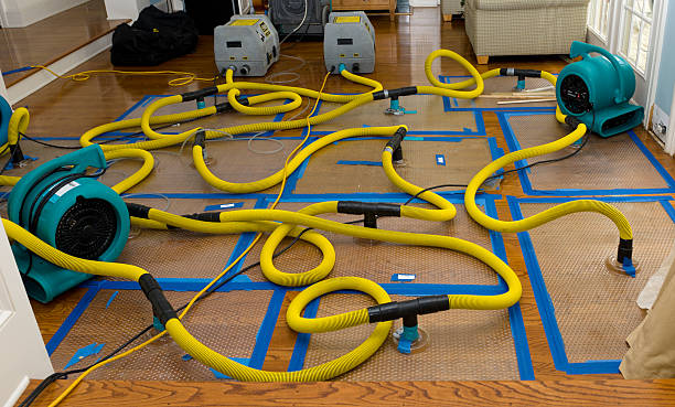 Professional Sewage Cleanup technician working in Ashby, MA